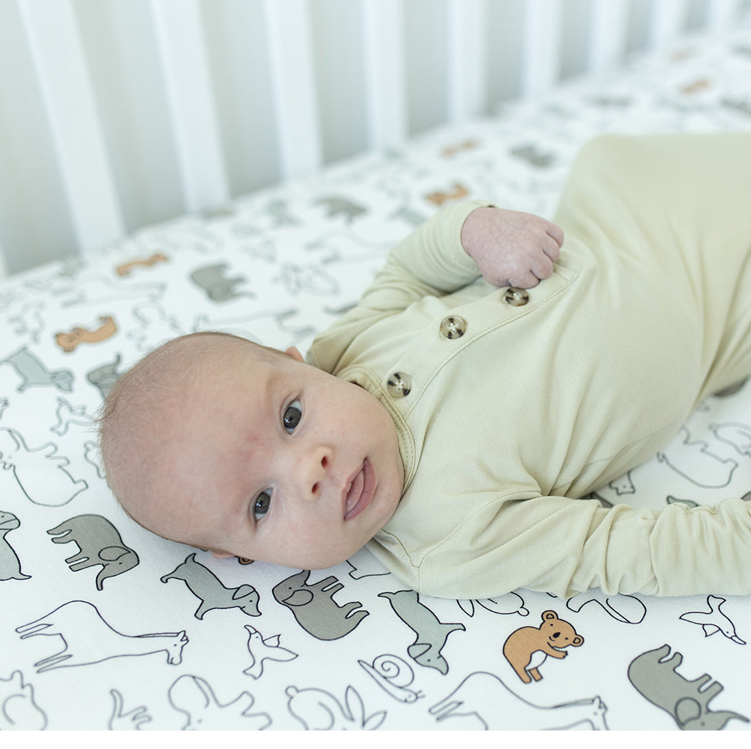 SheetWorld Fitted Youth Bed Sheet - 100% Cotton Jersey - Baby Animals,